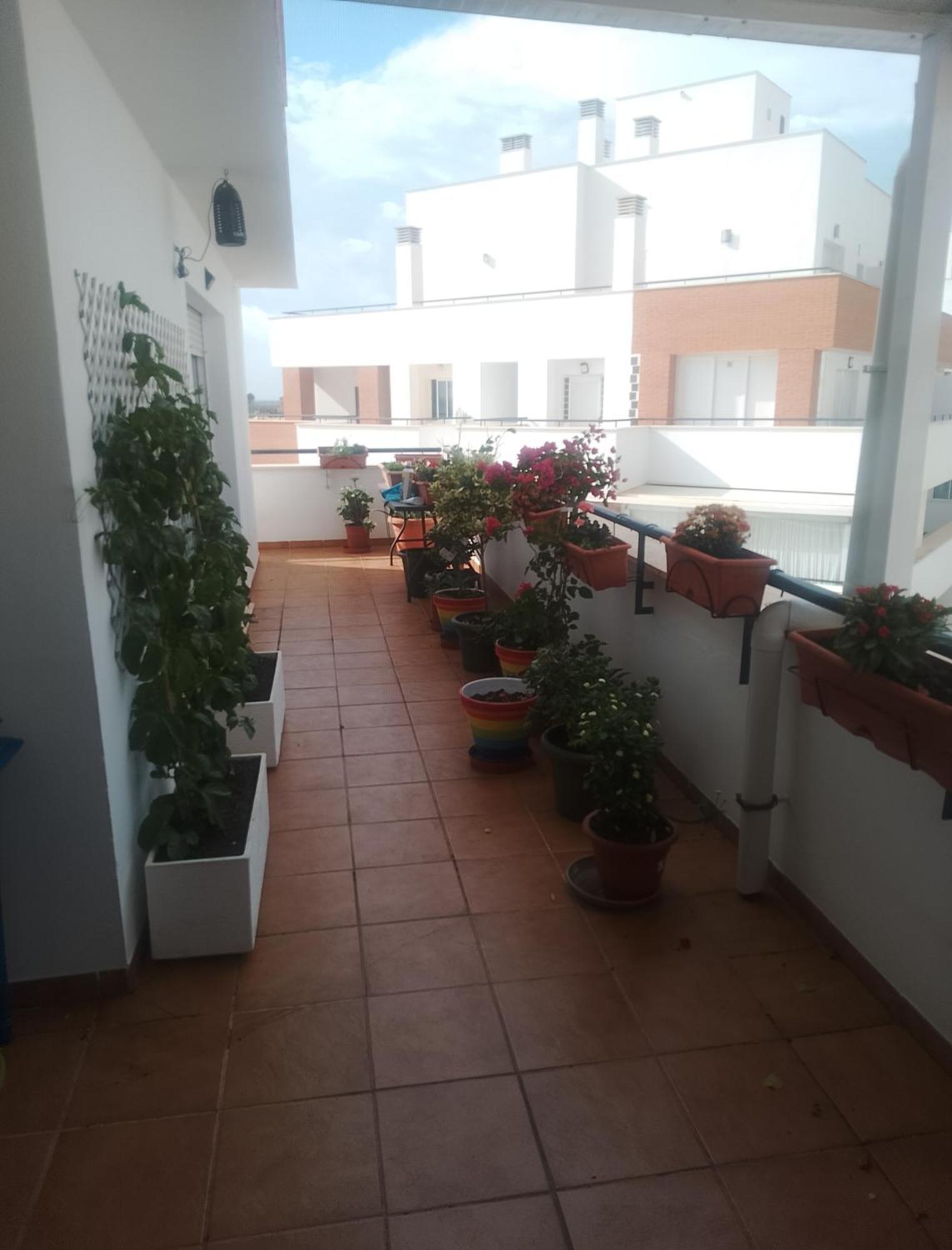 Ferienwohnung Golf, Piscina,Playa Roquetas de Mar Exterior foto